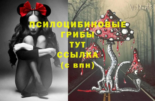 мдпв Горнозаводск