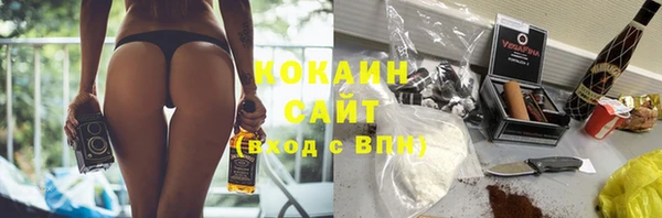 мдпв Горнозаводск