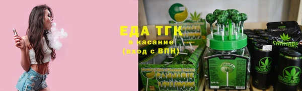 стафф Гусев