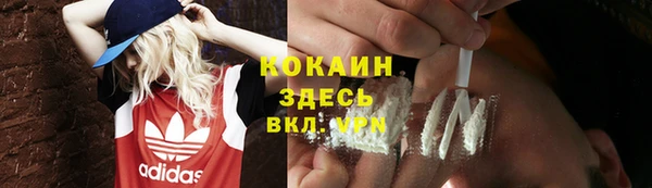 меф Горняк