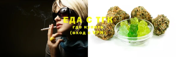 стафф Гусев