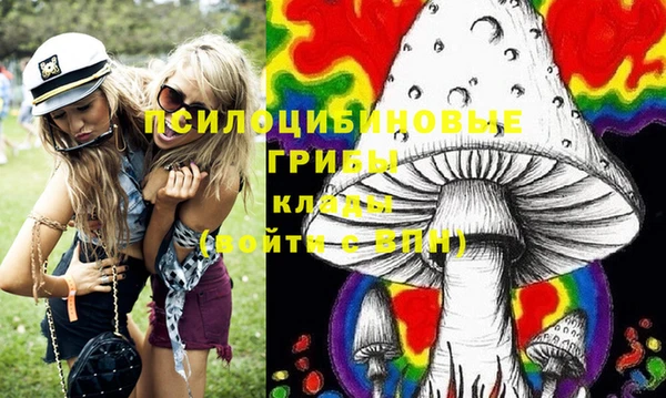 эйфоретик Вяземский