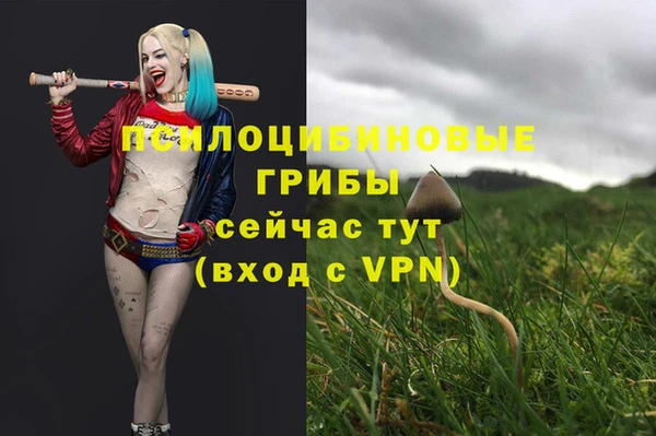 меф Горняк
