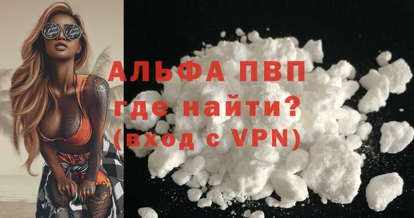 стафф Гусев