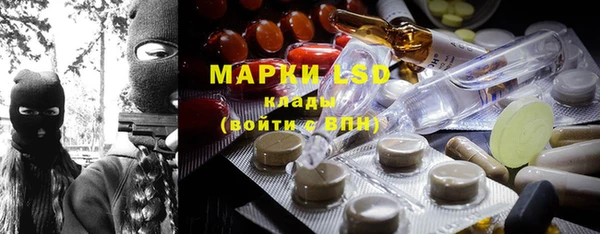 мдпв Горнозаводск