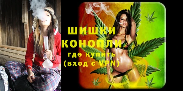 мдпв Горнозаводск