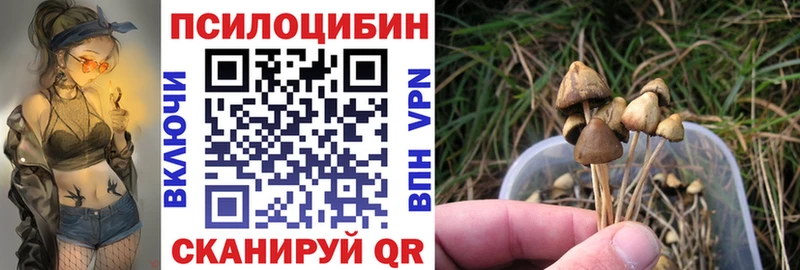 как найти закладки Ермолино Псилоцибиновые грибы Psilocybine cubensis